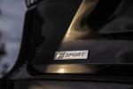 Lexus RX450h F-Sport 2019 года (NA)